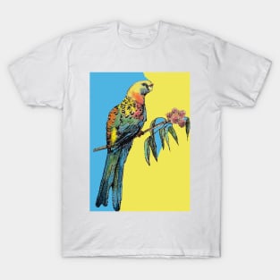 Rosella Parrot Watercolor Painting on Blue T-Shirt